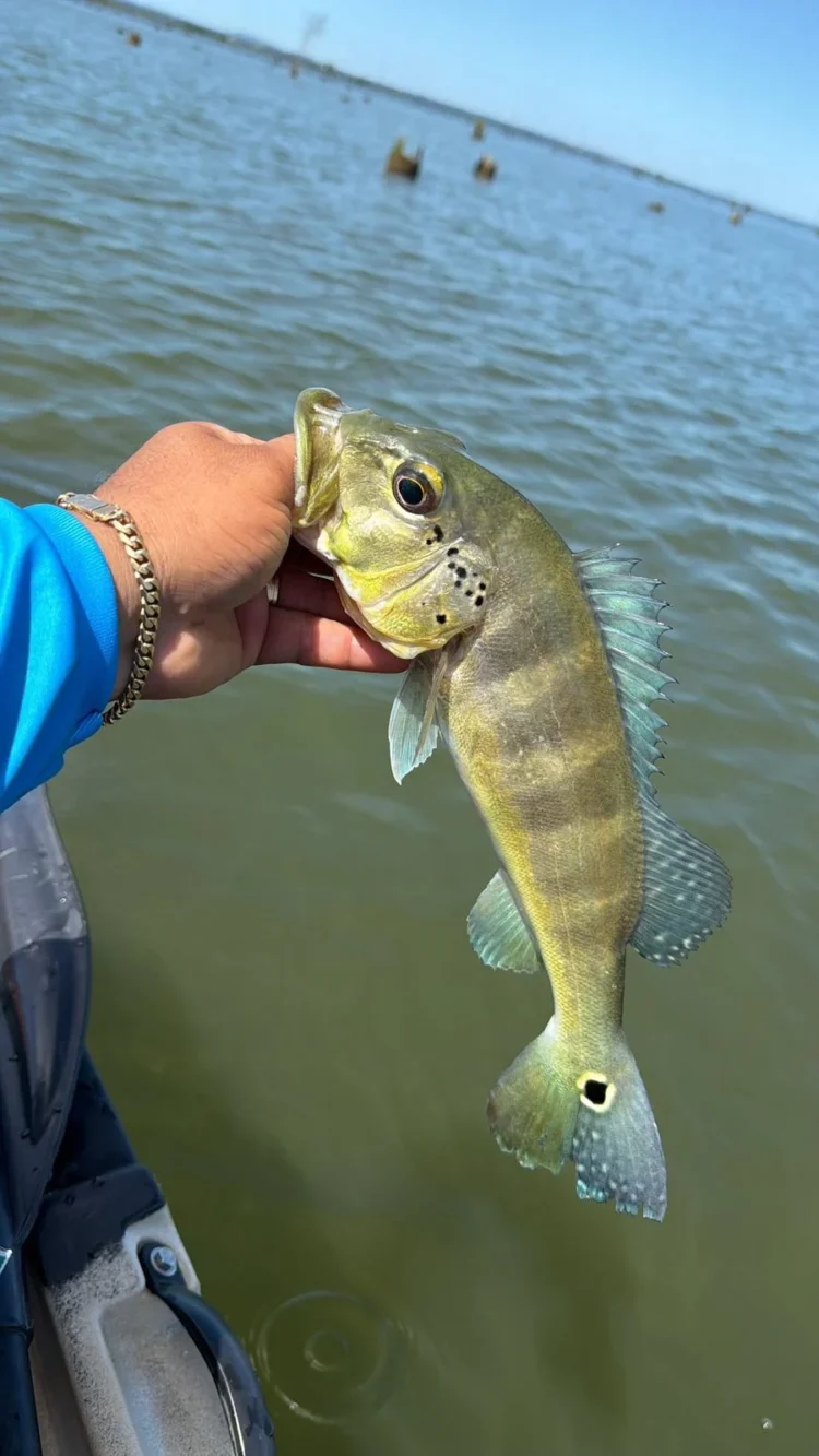 Temporada de praias aumenta movimento nos rios e reacende alerta sobre pesca predatória no Tocantins