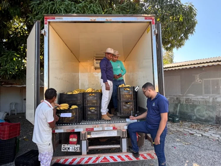 Programa fortalece agricultura familiar e já distribuiu mais de 15 toneladas de alimentos em Palmas