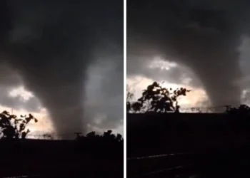 Tornado destrói propriedades rurais e interrompe produção de leite no Rio Grande do Sul