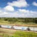 VLI registra recorde na movimentação de grãos e reforça importância do Matopiba para a logística do agro