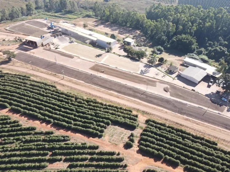 Gigante do café no Brasil avança em negociação para reestruturar dívidas