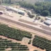 Gigante do café no Brasil avança em negociação para reestruturar dívidas