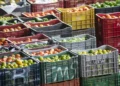 Comercialização de frutas e hortaliças movimenta R$ 68,7 bilhões nas Ceasas brasileiras em 2025