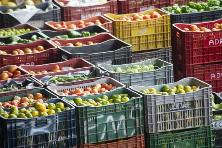 Comercialização de frutas e hortaliças movimenta R$ 68,7 bilhões nas Ceasas brasileiras em 2025