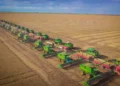 SLC Agrícola registra receita recorde de R$ 2,2 bilhões e lucro cresce 75% no segundo trimestre