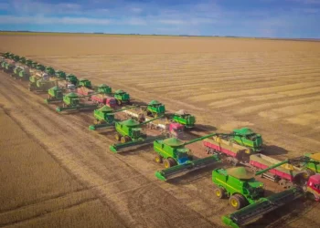 SLC Agrícola registra receita recorde de R$ 2,2 bilhões e lucro cresce 75% no segundo trimestre
