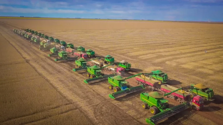 SLC Agrícola registra receita recorde de R$ 2,2 bilhões e lucro cresce 75% no segundo trimestre