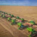 SLC Agrícola registra receita recorde de R$ 2,2 bilhões e lucro cresce 75% no segundo trimestre