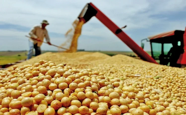 Produtores ampliam participação no debate político diante de decisões que afetam o campo