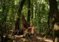 Inova Amazônia Summit 2026 destaca soluções sustentáveis e oportunidades de negócios na bioeconomia