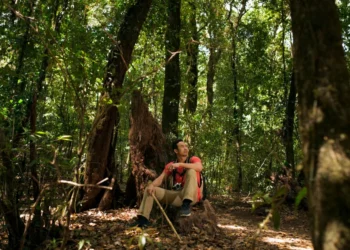 Inova Amazônia Summit 2026 destaca soluções sustentáveis e oportunidades de negócios na bioeconomia