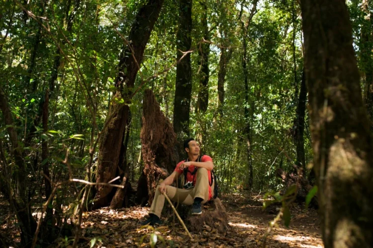 Inova Amazônia Summit 2026 destaca soluções sustentáveis e oportunidades de negócios na bioeconomia
