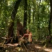 Inova Amazônia Summit 2026 destaca soluções sustentáveis e oportunidades de negócios na bioeconomia