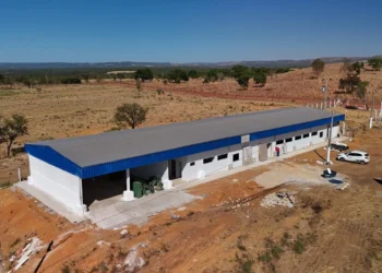Usina de mandioca em Palmas ultrapassa 90% das obras e deve ser concluída em agosto