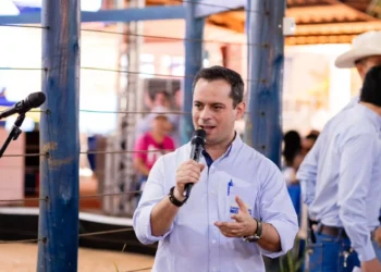 Transparência nos leilões fortalece mercado e valoriza a pecuária tocantinense, avalia especialista