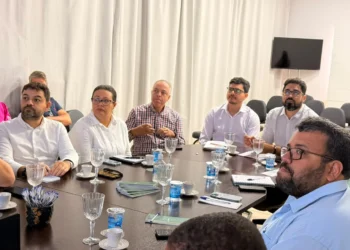 Câmara Setorial do Leite debate plano estratégico para fortalecer a cadeia produtiva no Tocantins