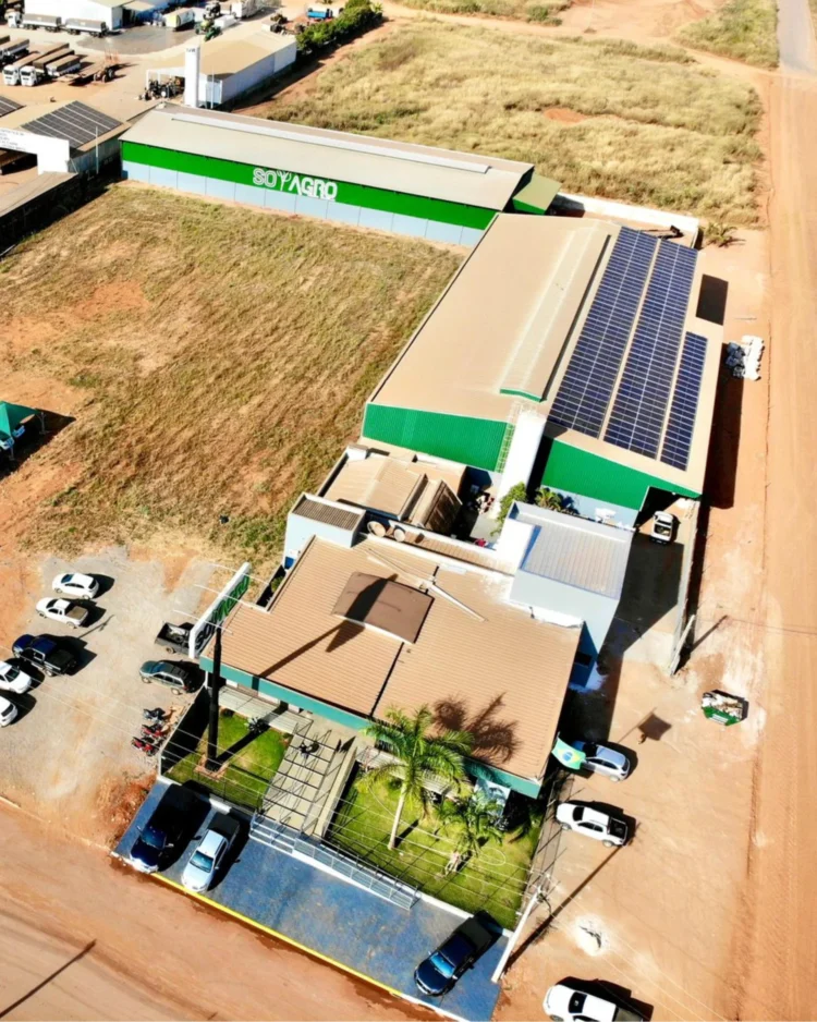 Soyagro recorre à recuperação judicial para reorganizar dívidas após inadimplência superar R$ 100 milhões