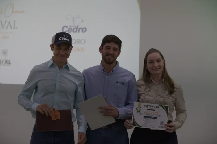 Única representante do Norte, fazenda associada à Novilho Precoce Tocantins conquista certificação nacional de excelência genética