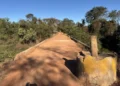 Ponte na TO-487 entre Taguatinga e Taipas será interditada por tempo indeterminado