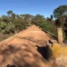 Ponte na TO-487 entre Taguatinga e Taipas será interditada por tempo indeterminado
