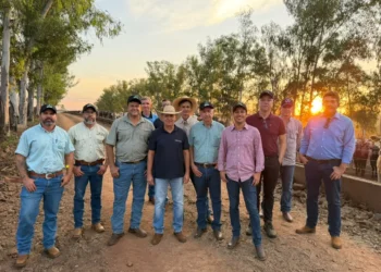 Produtores tocantinenses conhecem fazenda referência e modelo de incentivo ao novilho precoce em MS