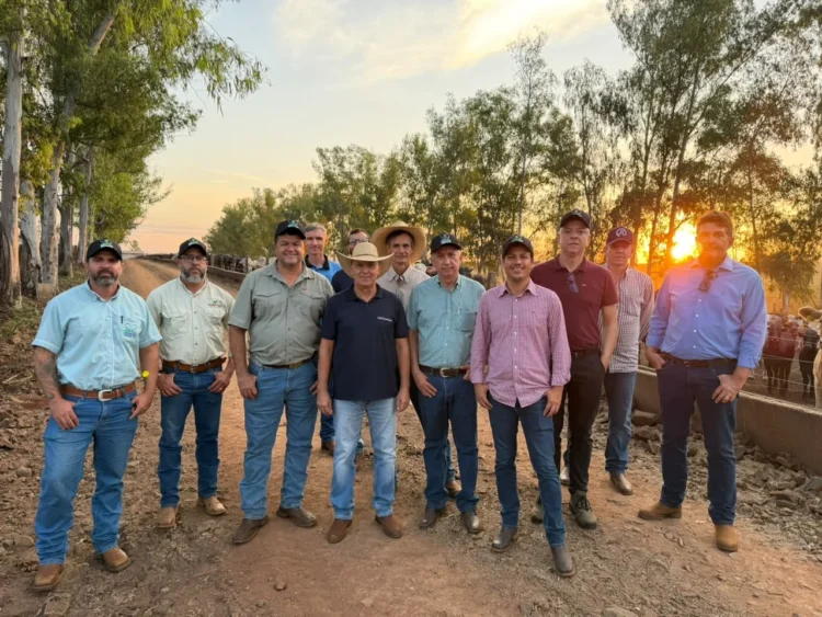 Produtores tocantinenses conhecem fazenda referência e modelo de incentivo ao novilho precoce em MS