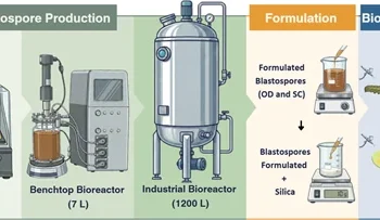 Nova tecnologia permite produzir bioinseticidas em escala industrial para controle de pragas