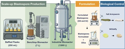 Nova tecnologia permite produzir bioinseticidas em escala industrial para controle de pragas