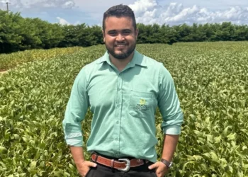 Crédito rural e renegociação de dívidas: entre o alívio financeiro e a sustentabilidade do campo