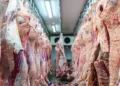 Tocantins está entre estados com novos frigoríficos habilitados a exportar carne bovina para a Indonésia