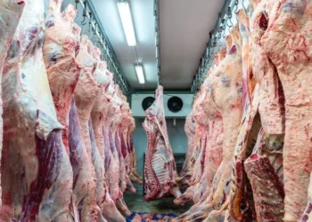 Tocantins está entre estados com novos frigoríficos habilitados a exportar carne bovina para a Indonésia