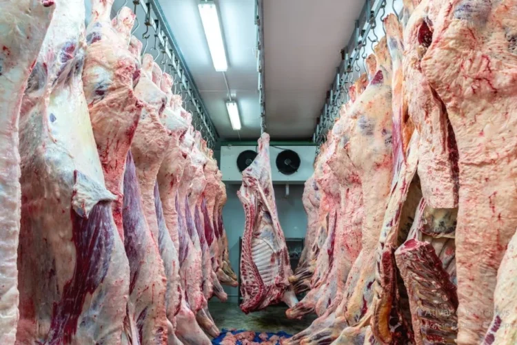 Tocantins está entre estados com novos frigoríficos habilitados a exportar carne bovina para a Indonésia