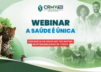 Vigilância da raiva humana e animal é discutida em webinar do CRMV-TO