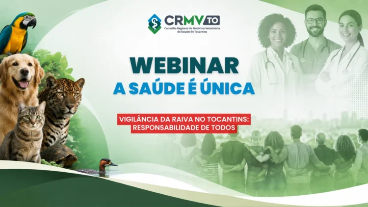 Vigilância da raiva humana e animal é discutida em webinar do CRMV-TO