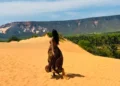 Sebrae Tocantins conecta territórios ao mercado nacional de turismo na ABAV Expo