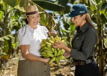 Conecta Agro reúne produtores em Colinas com foco em gestão, mercado e inovação