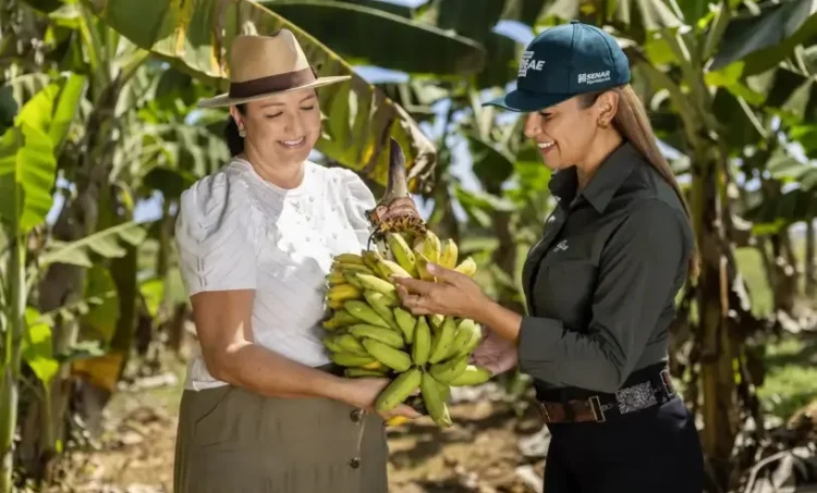 Conecta Agro reúne produtores em Colinas com foco em gestão, mercado e inovação