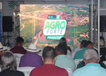 AgroForte reúne produtores, jovens e mulheres em três dias de programação em Dois Irmãos