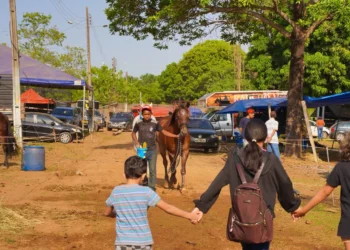 3ª Semana do Cavalo começa em Gurupi e movimenta esporte, capacitação, negócios e cultura