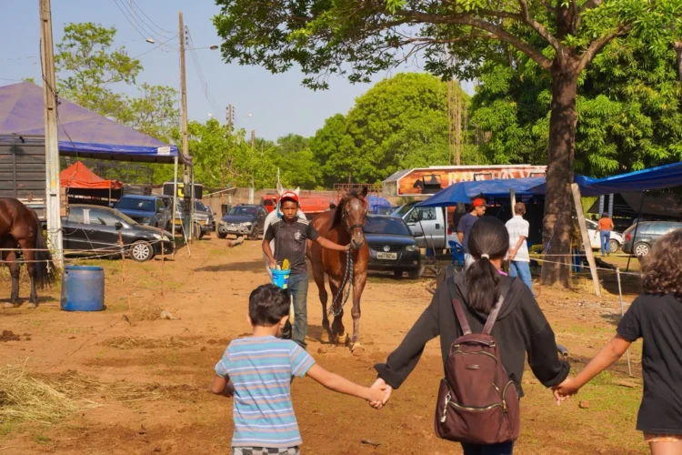 3ª Semana do Cavalo começa em Gurupi e movimenta esporte, capacitação, negócios e cultura