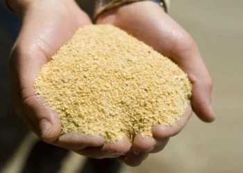 Farelo de soja ganha peso na margem das indústrias no Brasil e nos EUA