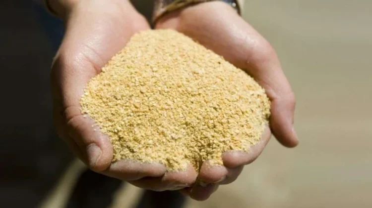 Farelo de soja ganha peso na margem das indústrias no Brasil e nos EUA