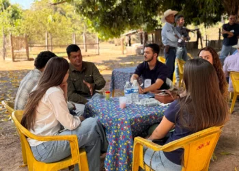 Academia Jovem do Novilho Precoce abre seleção para jovens interessados no agro no Tocantins