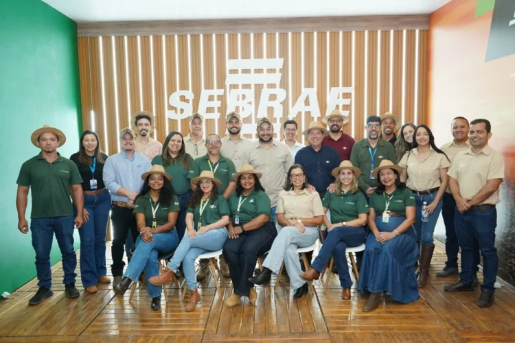 Pequenos negócios rurais do Tocantins aumentam faturamento em 51,66% com apoio técnico
