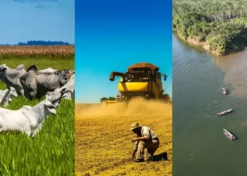Lula e Flávio Bolsonaro chegam ao 2º turno com propostas distintas para o agro brasileiro